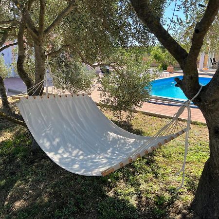 Villa Paludo Novigrad  Exterior foto